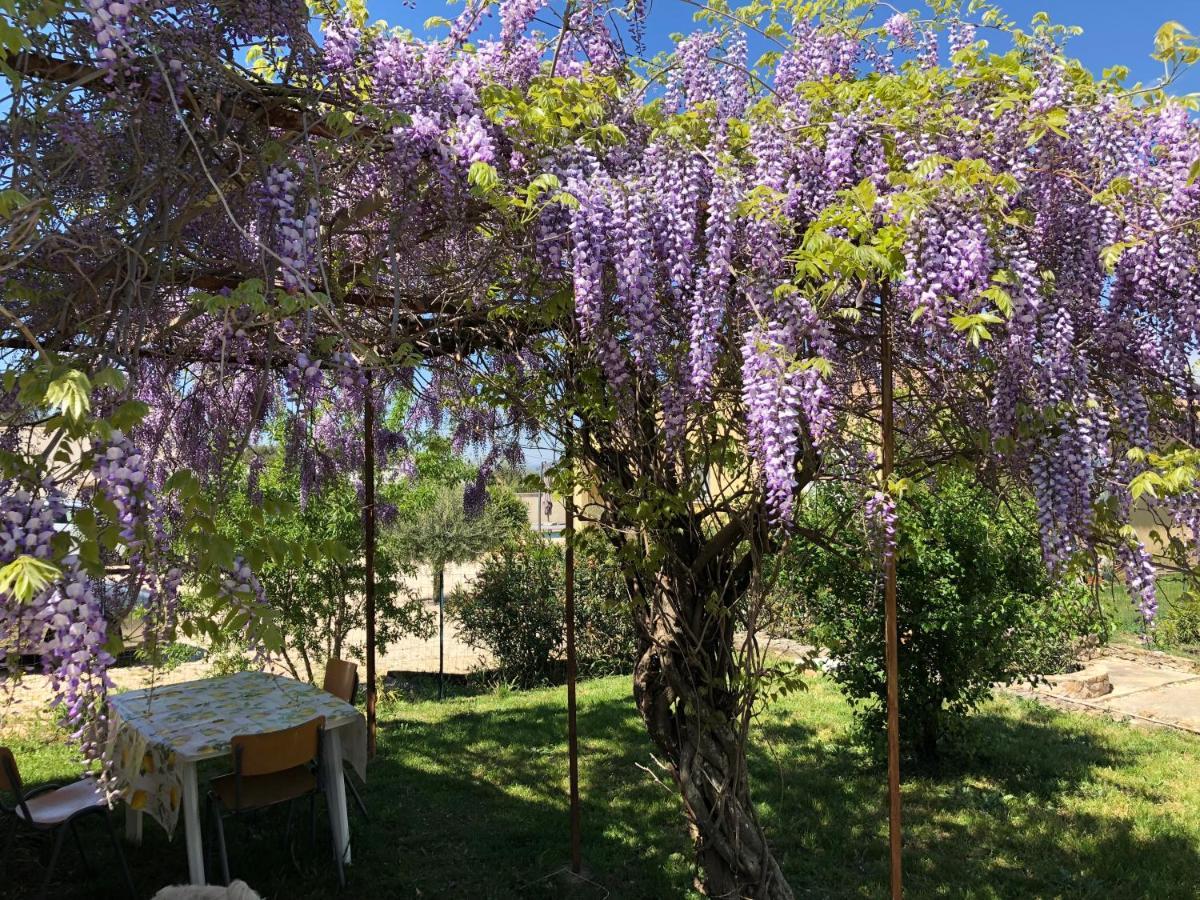 Gite Climatise Avec Piscine Sur Les Hauteurs De Bollène Εξωτερικό φωτογραφία