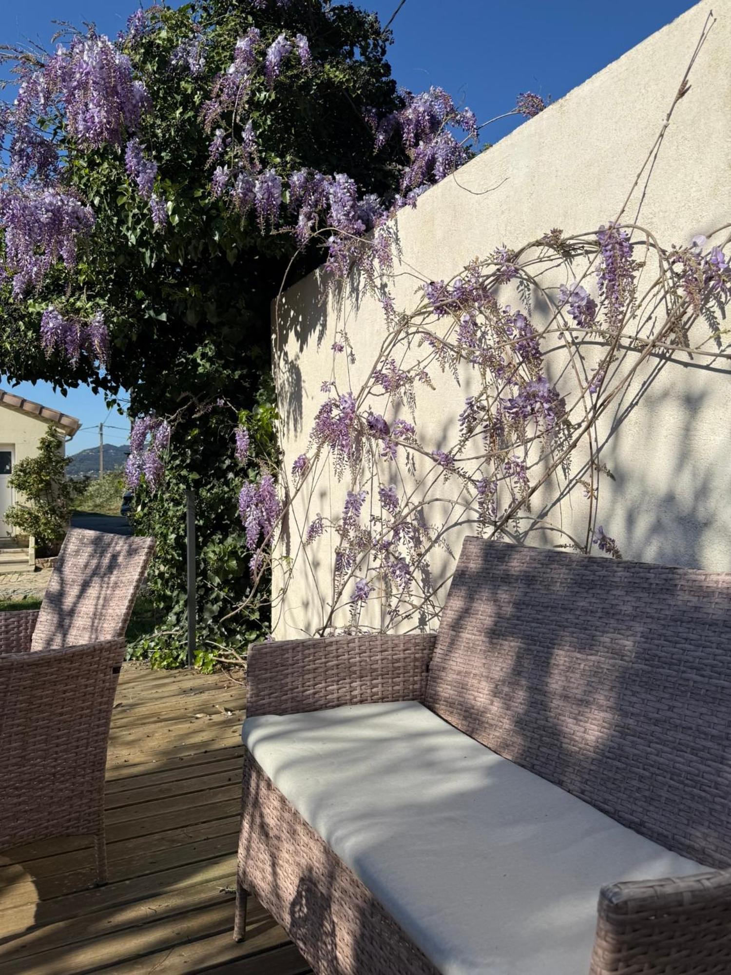 Gite Climatise Avec Piscine Sur Les Hauteurs De Bollène Εξωτερικό φωτογραφία